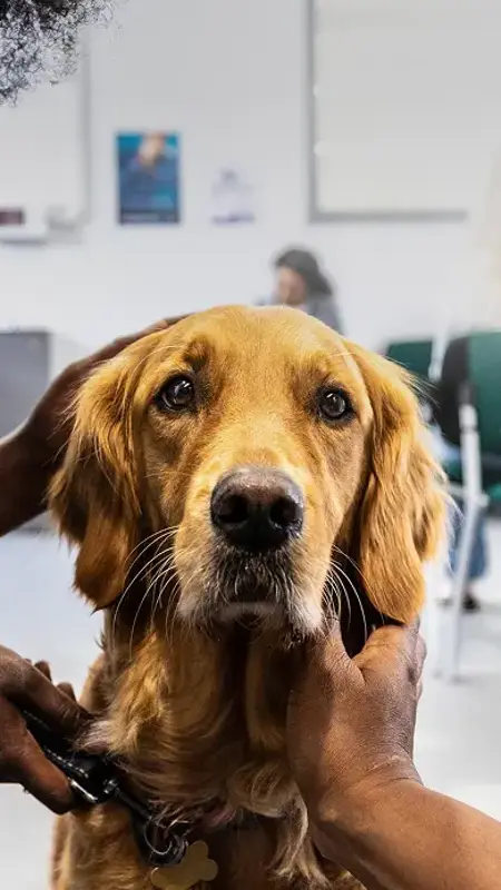 Together, Building a More Sustainable Future for All