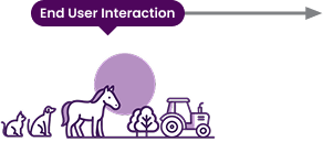 Downstream – End users